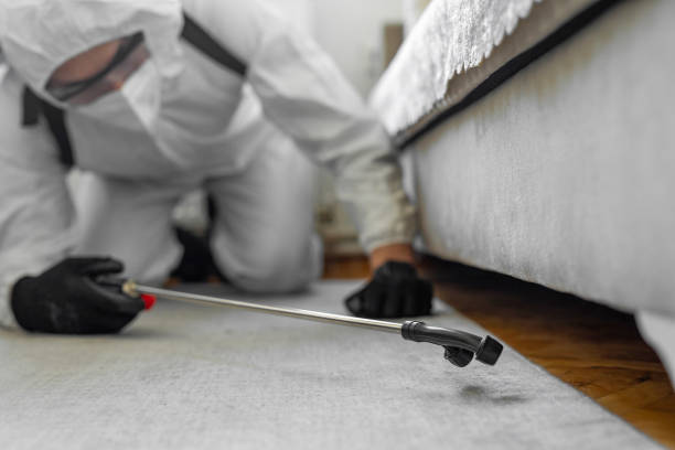 Professional Cockroach Control technician working in Brighton, CO